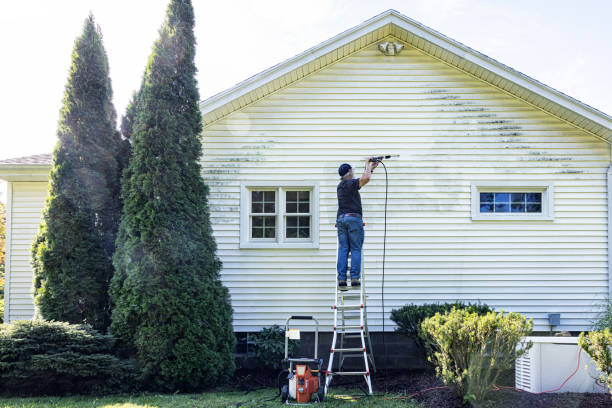 Best Driveway Cleaning and Restoration in USA