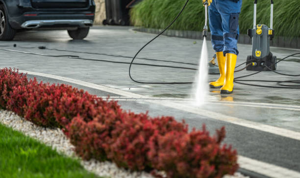 Best Sidewalk and Walkway Pressure Cleaning in USA